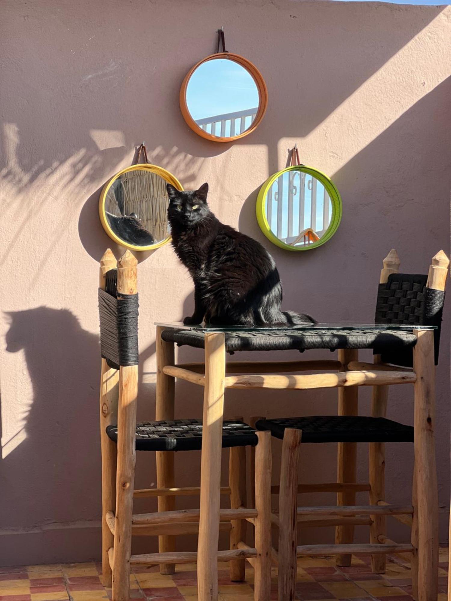 Peekaboo Hostel Marrakesh Buitenkant foto